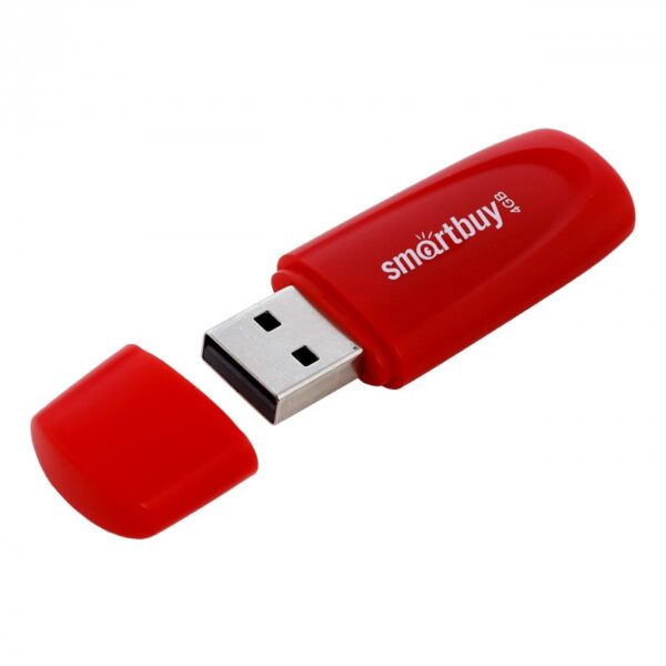 Флэш-диск SmartBuy 4GB USB 2.0 Scout красный 1