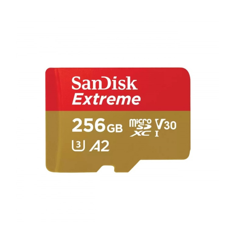 Карта памяти microSDHC SanDisk 256Gb Class10 Extreme A2 (190/130MB/s) б/ад — изображение 1